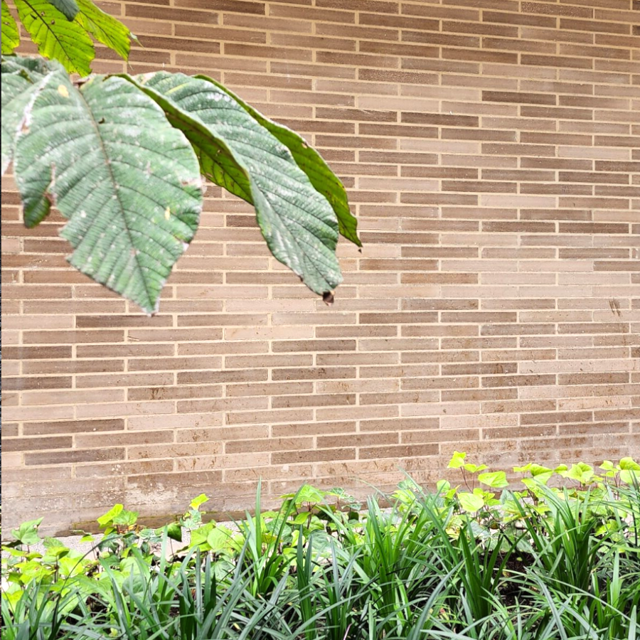 pared-ladrillo-gres-prensado-gran-formato-2